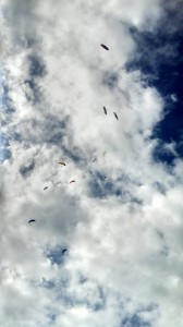 10698490_10203091843393360_7120198403351979042_n
