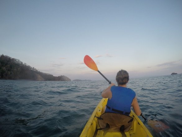 curu costa rica kayaking bioluminescence