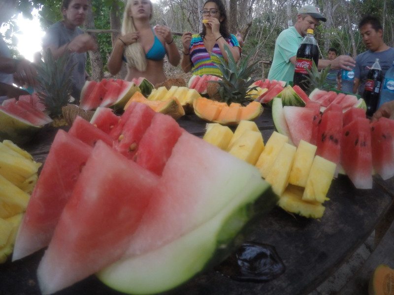 fresh fruit costa rica melon watermelon