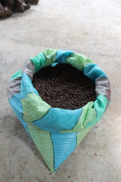 Coffee Culture Overseas: The Galapagos Edition | AIFS Study Abroad