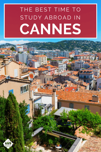 Fall vs. Spring Semester | When is the Best Time to Study Abroad in Cannes, France? | AIFS Study Abroad