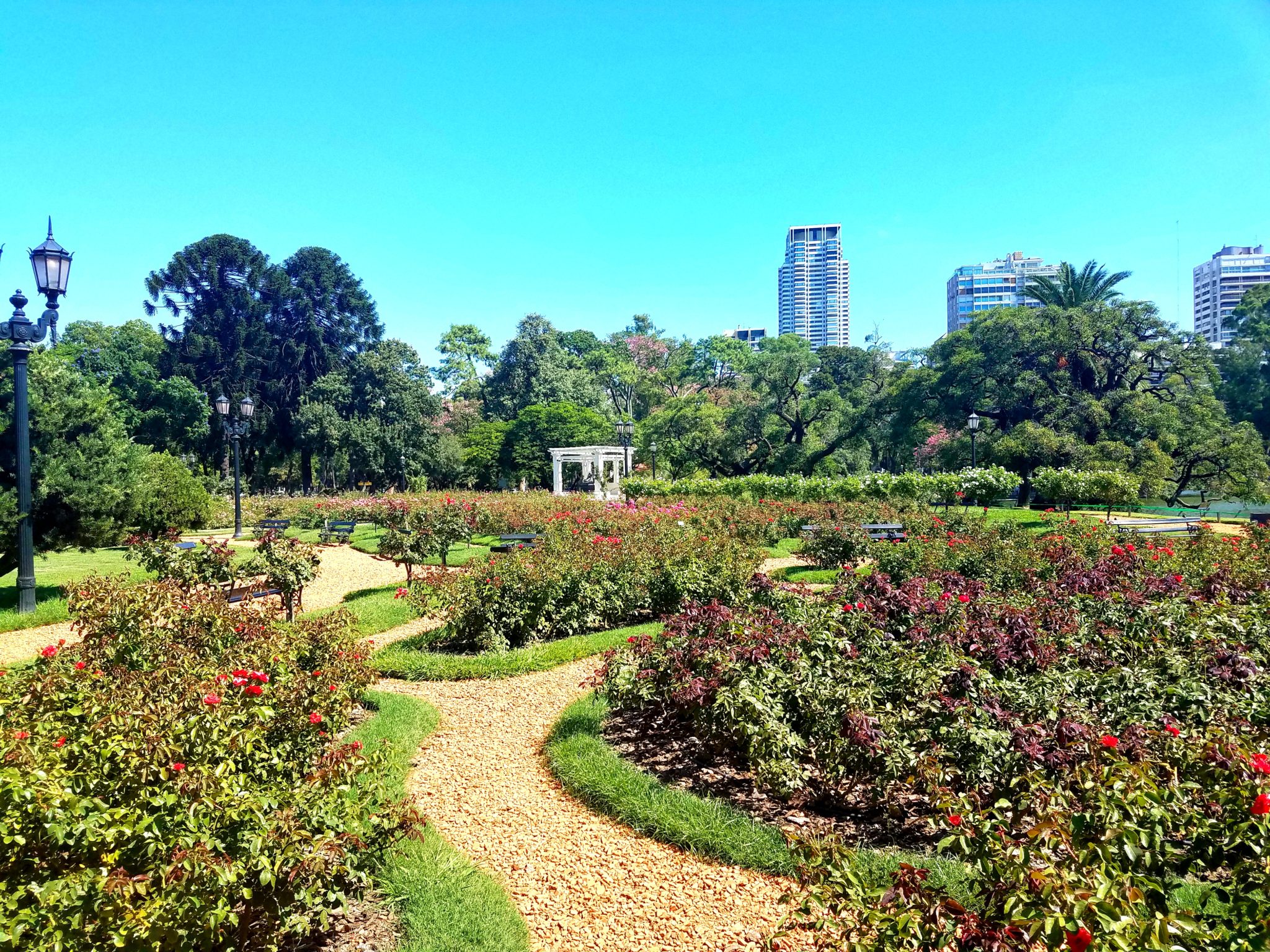 The Rose Gardens in Buenos Aires, Argentina