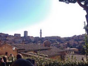 Why San Gimignano and Siena are Perfect Day Trips from Florence, Italy | AIFS Study Abroad