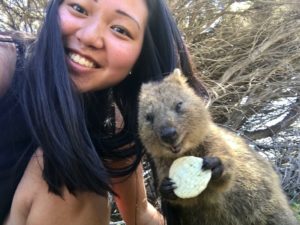 Top 10 Coolest Places I Saw While Studying Abroad in Australia | AIFS Study Abroad | AIFS in Perth, Australia