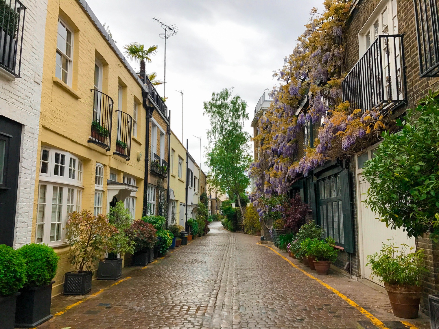 Mews in London, England