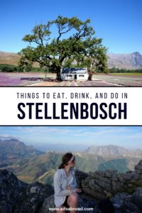 What to Eat, Drink, and Do With One Day in Stellenbosch, South Africa | AIFS Study Abroad