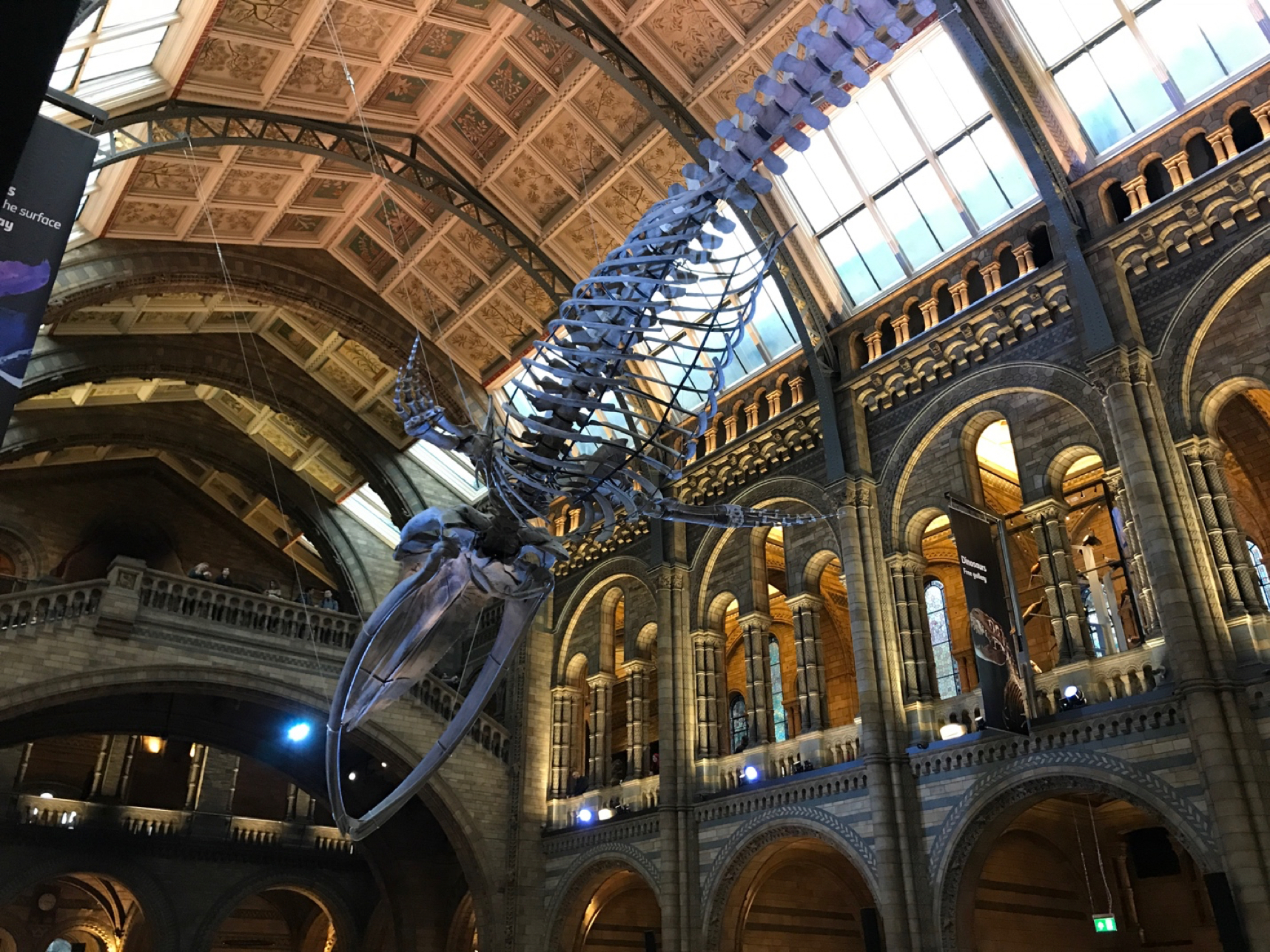 natural-history-museum-and-science-museum-aifs-study-abroad-in-london