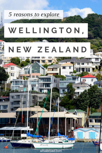 5 Reasons to Explore Wellington, New Zealand | AIFS Study Abroad