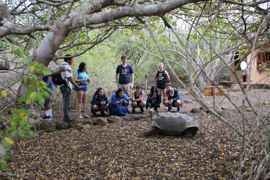 Best Ways to Discover the Galápagos Islands’ Unrivaled Wildlife | AIFS Study Abroad | AIFS in the Galapagos Islands, Ecuador