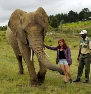 3 Ways Studying Abroad in South Africa Changed My Perspective | AIFS Study Abroad | AIFS Study Abroad in Stellenbosch, South Africa | Service Learning