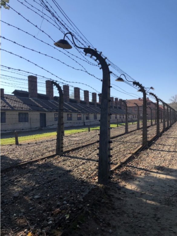 Why You Should Visit Auschwitz as a Student Studying Abroad | AIFS Study Abroad