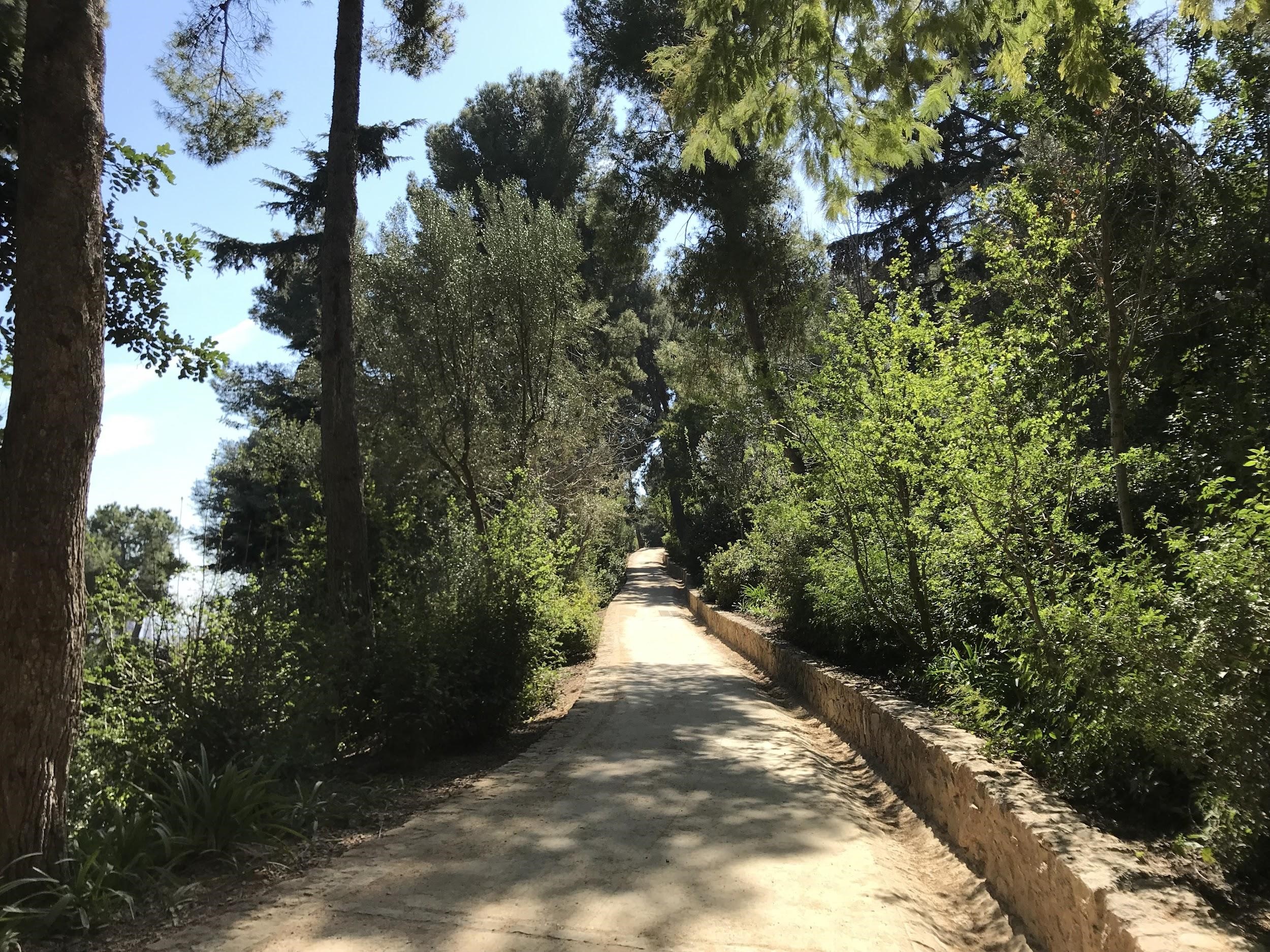 Hike to Park Guell in Barcelona, Spain