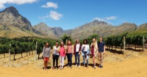 aifs abroad students at vineyard in stellenbosch, south africa