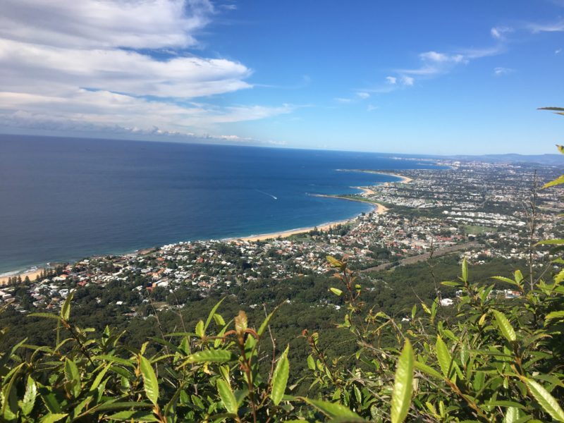 5 things to do in Wollongong, Australia if you're a college student studying abroad there or a traveler interested in exploring the area. | AIFS Study Abroad