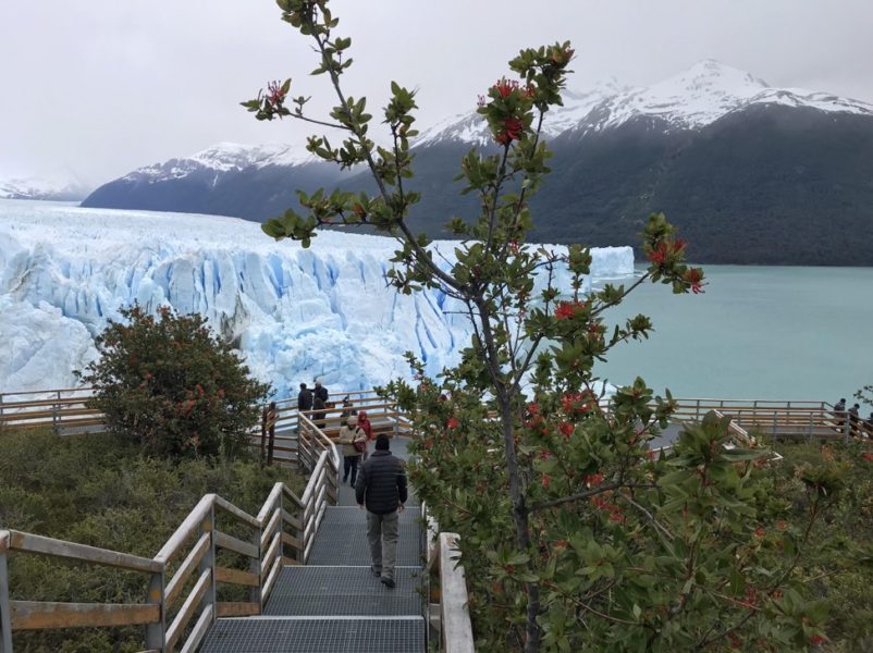 Perito Moreno Glacier in Patagonia, Argentina | AIFS Study Abroad