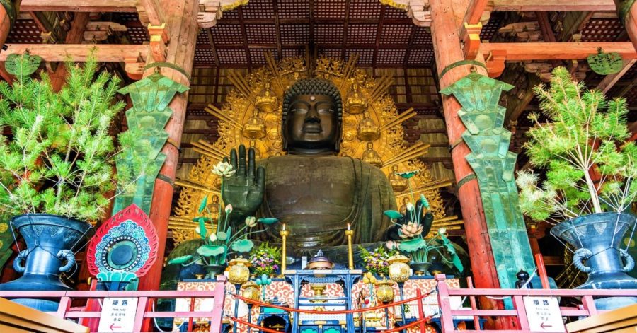 Visit the Great Buddha statue in Nara when you study abroad in Japan with AIFS!