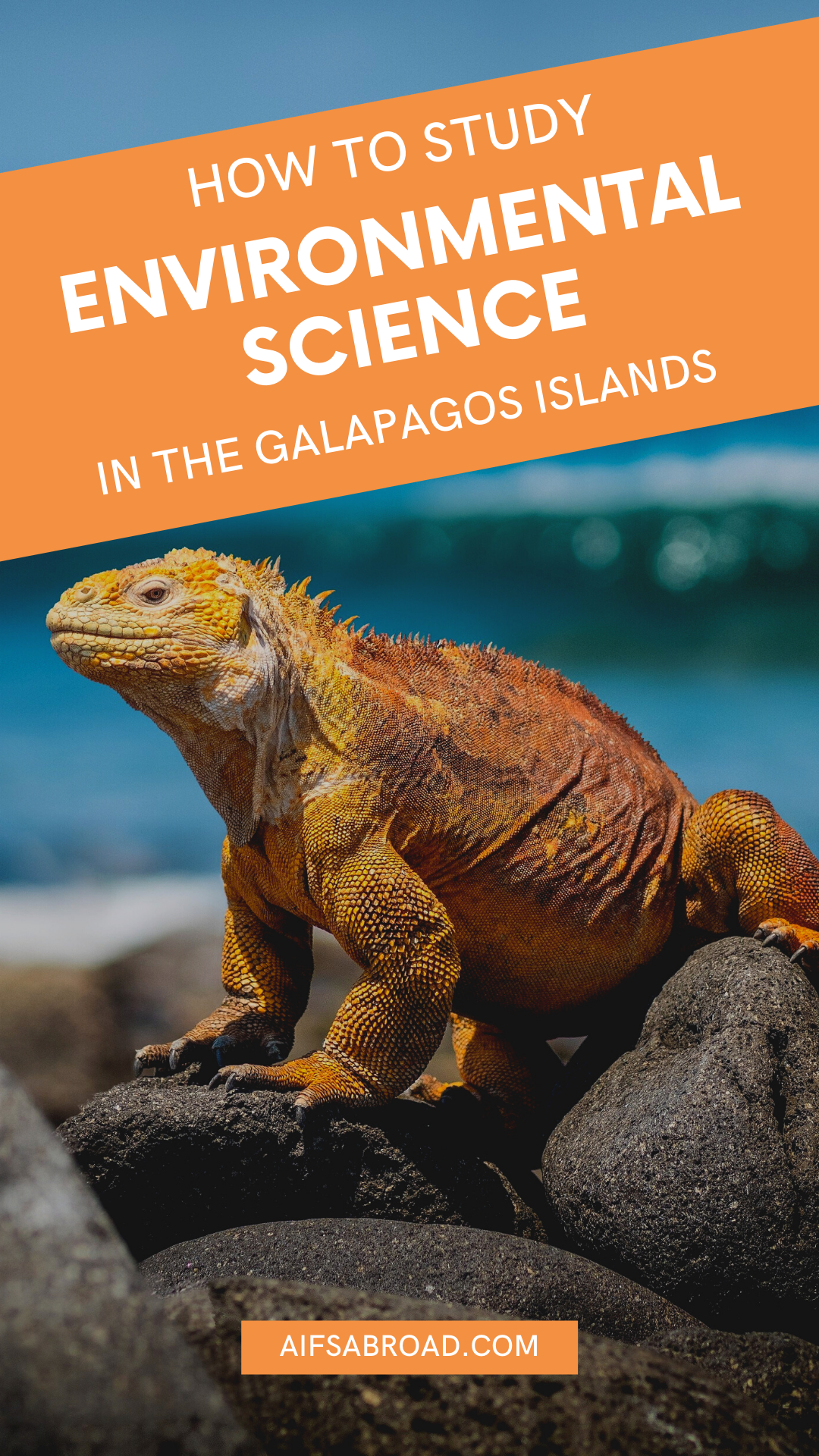 Summer Study Abroad: Environmental Science in the Galápagos Islands 