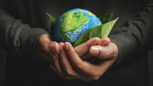 What is Sustainability? Exploring the 17 Sustainable Development Goals