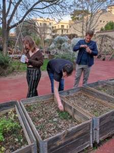 AIFS students in Florence learning about urban gardening