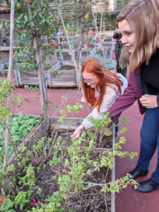 AIFS students in Florence learning about urban gardening