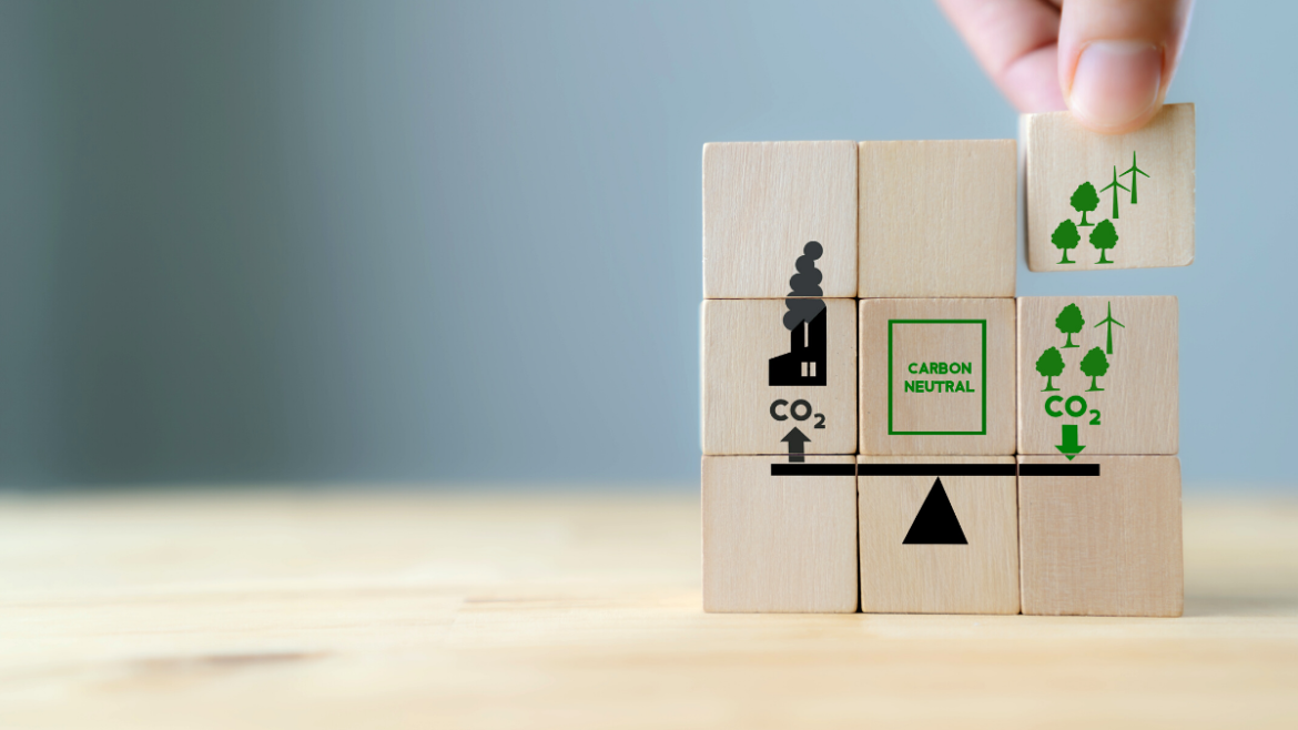 Carbon Offsetting Image | AIFS Study Abroad