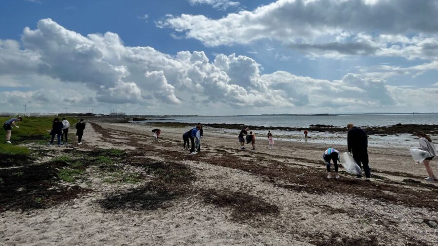 AIFS Abroad internship program participants in Galway, Ireland doing a beach-clean up for a sustainability project abroad