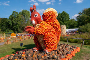 The Ludwigsburg Kürbisfest in Germany
