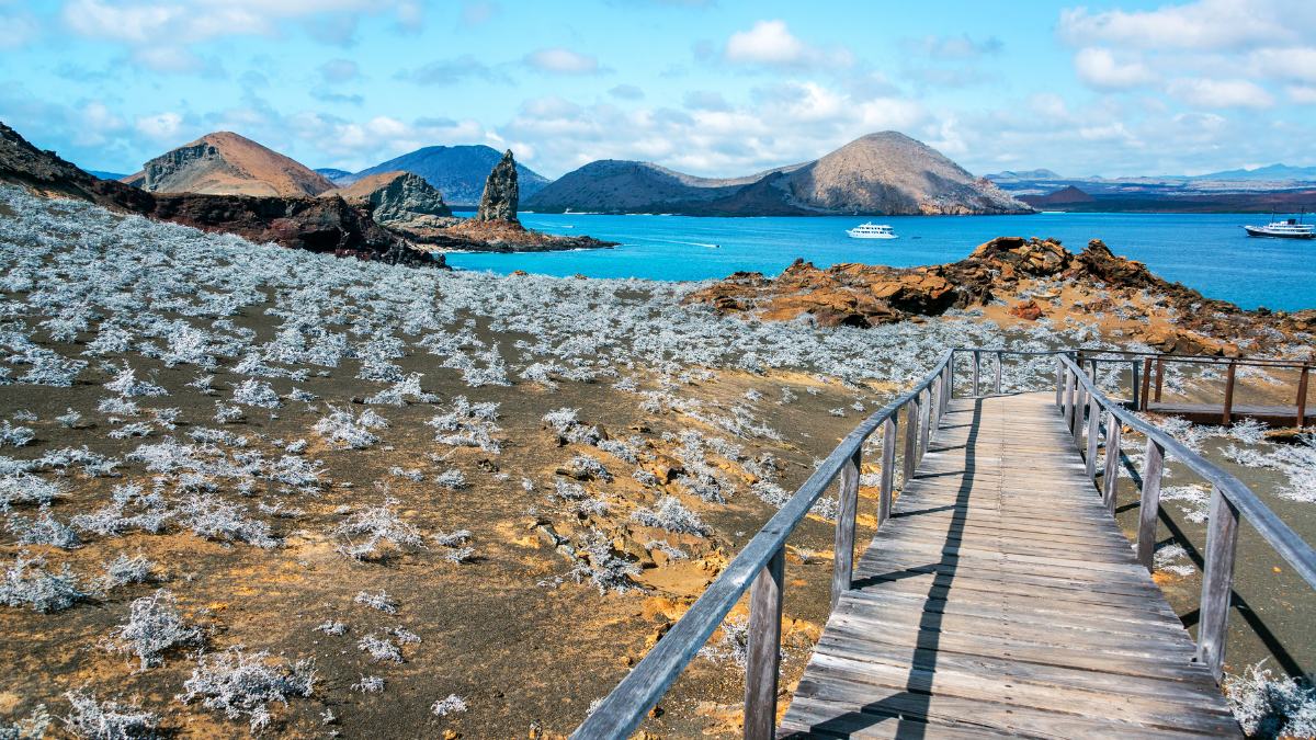 Galápagos Islands, Ecuador