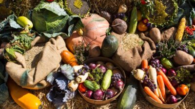 Vegetables at Harvest Festival