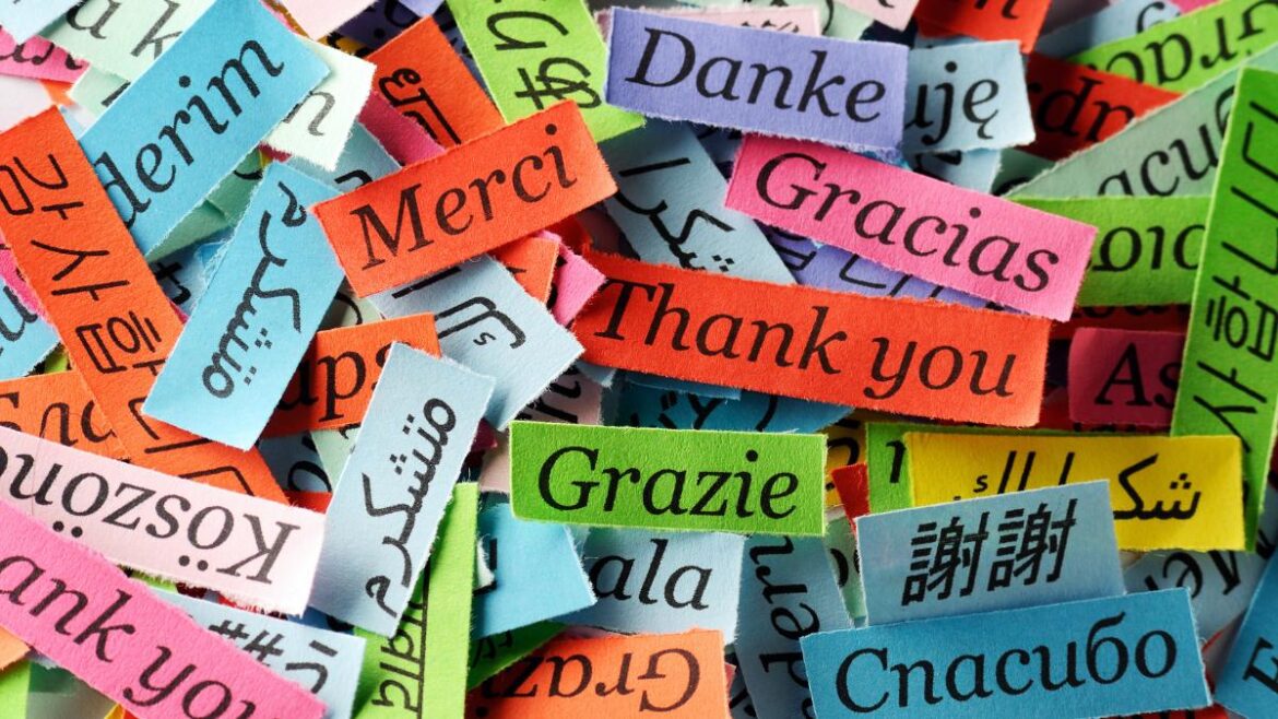 Pieces of paper with thank you written in different languages
