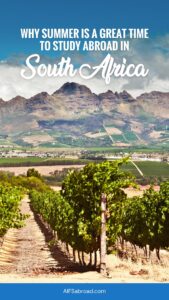 Pin Image - Why Summer is a Great Time to Study Abroad in South Africa - AIFS Abroad