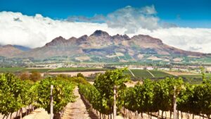 Winelands and mountains of Stellenbosch, South Africa