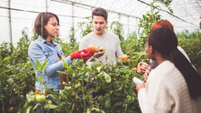 Students taking an agriculture class in a greenhouse