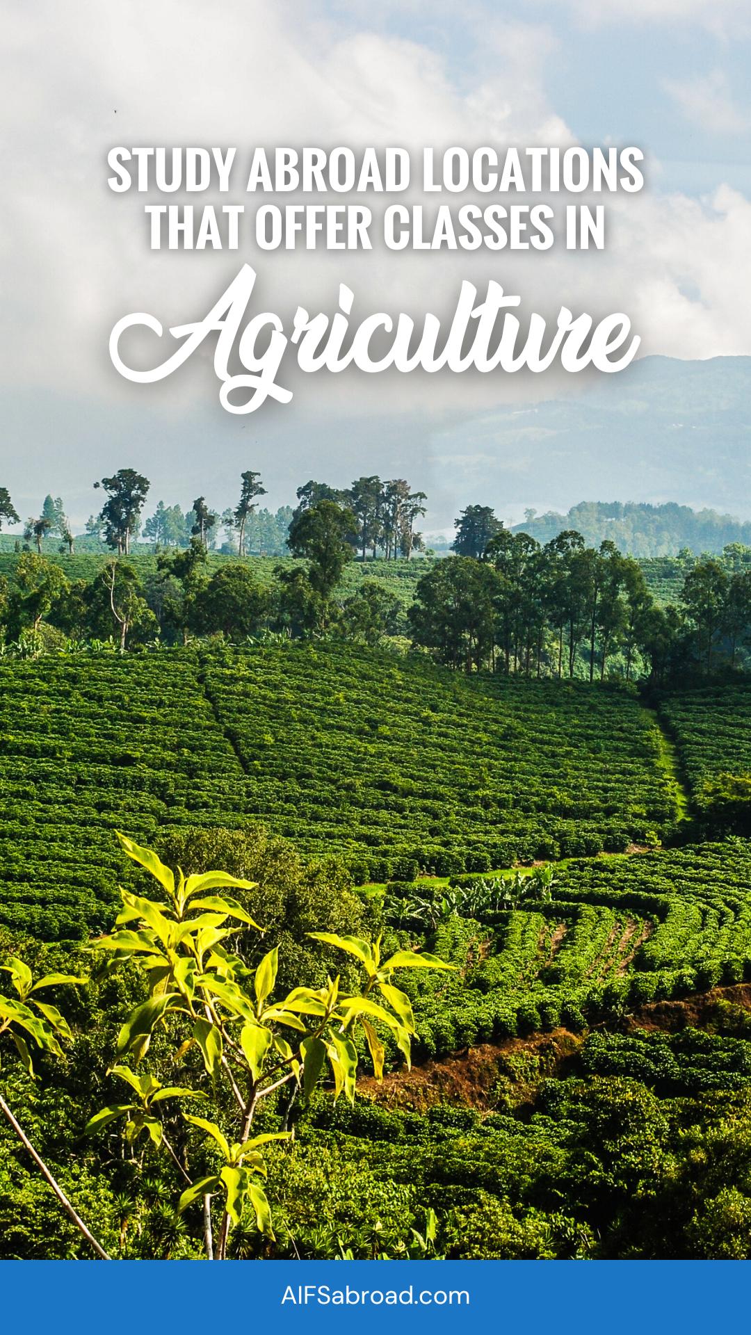 Pin image - Costa Rica agricultural farm with text overlay "Study Abroad Locations that Offer Classes in Agriculture"