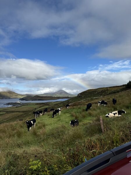 landscape in ireland