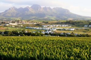 Stellenbosch, South Africa