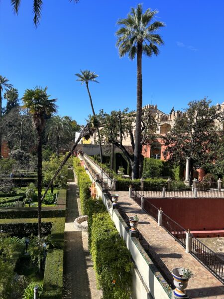 AFS no exterior, estudante Brett em Granada, Espanha
