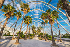 Umbracle modern palm tree park in Valencia, Spain.